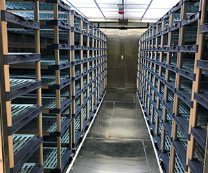 Environmental Room Gallery