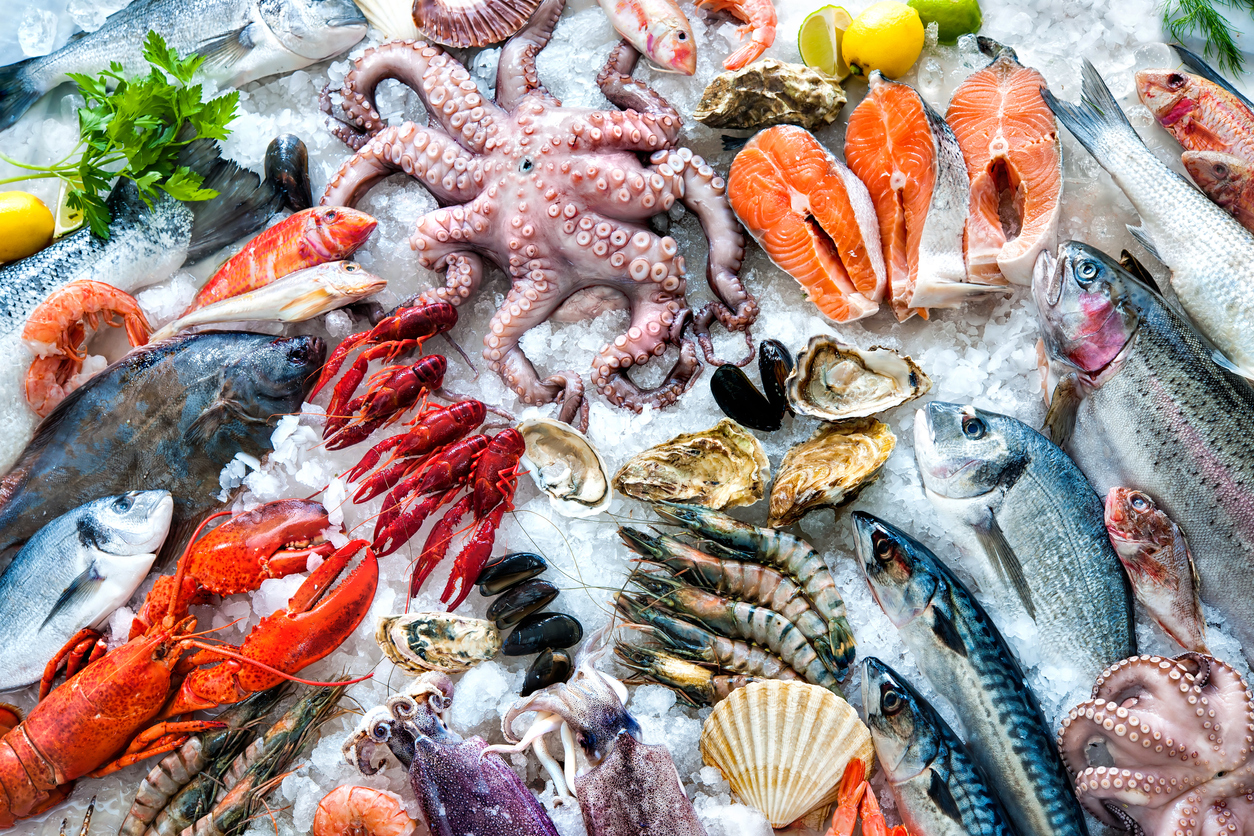 How to Properly Store Seafood in your Restaurant