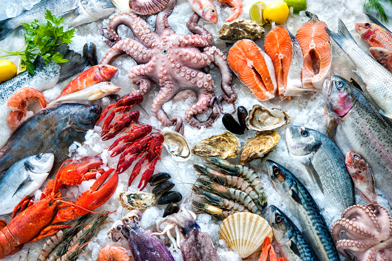 Large Plastic Shellfish & Oyster Containers for Harvesting